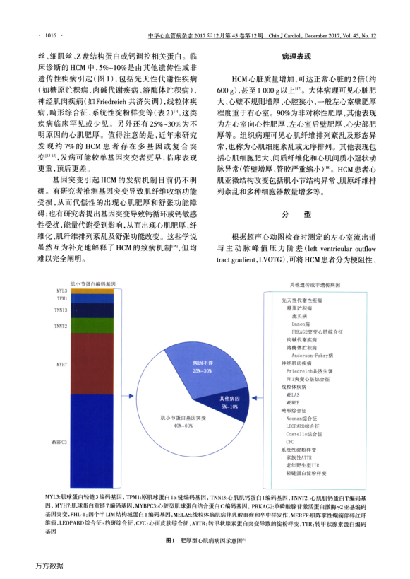 【期刊推荐】中国成人肥厚型心肌病诊断与治疗指南